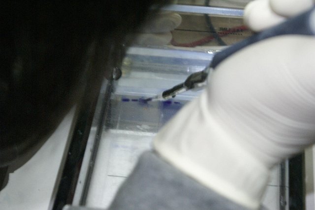 620576_10150983920901123_1180237979_o