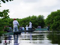 Paseo en alijo y por tierra en el manglar de Sisal en Yucat&aacute;n, para recibir pl&aacute;ticas sobre servicios ambientales, aves y peces de la zona.