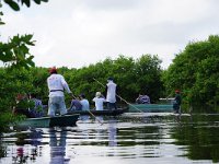 Paseo en alijo y por tierra en el manglar de Sisal en Yucatán, para recibir pláticas sobre servicios ambientales, aves y peces de la zona.