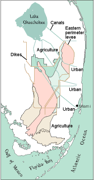 map of south Florida showing current everglades vegetation (ca. 1990)