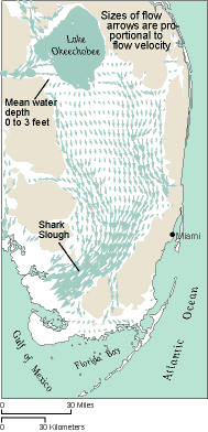 map of south Florida showing natural flow patterns (ca. 1900)