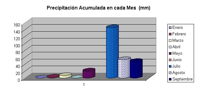 La única gráfica de 1999
(aunque el año todavía no termina)
